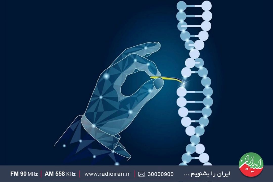 «كریسپر» پنجراه ای رو به آینده