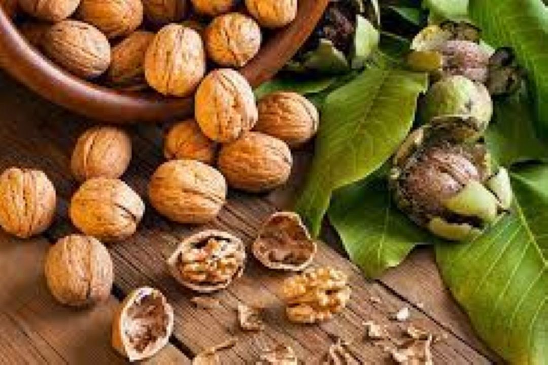  آشنایی با خواص و فواید گردو 