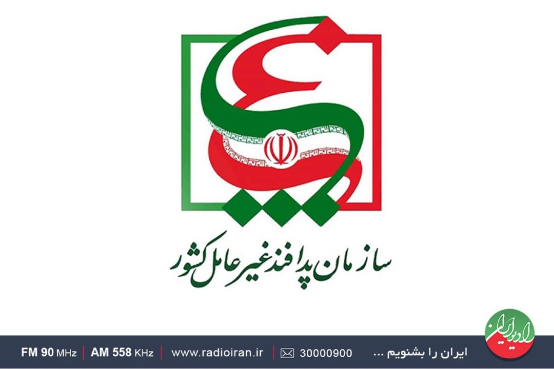 راهبردها و راهكارهای پدافند اقتصادی