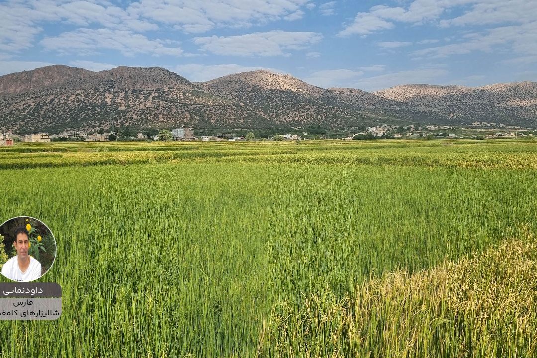داوود نمایی پویش زیبای ایران من
