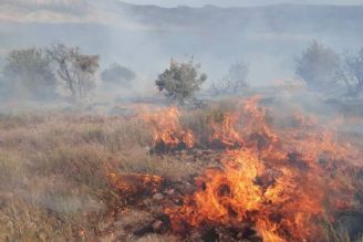 مدیریت مراتع پس از آتش سوزی با كمك محققان 