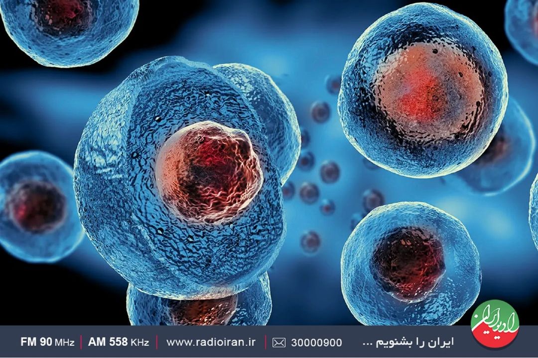 اهمیت سلول های بنیادی وكاربرد آن در درمان بیماری ها