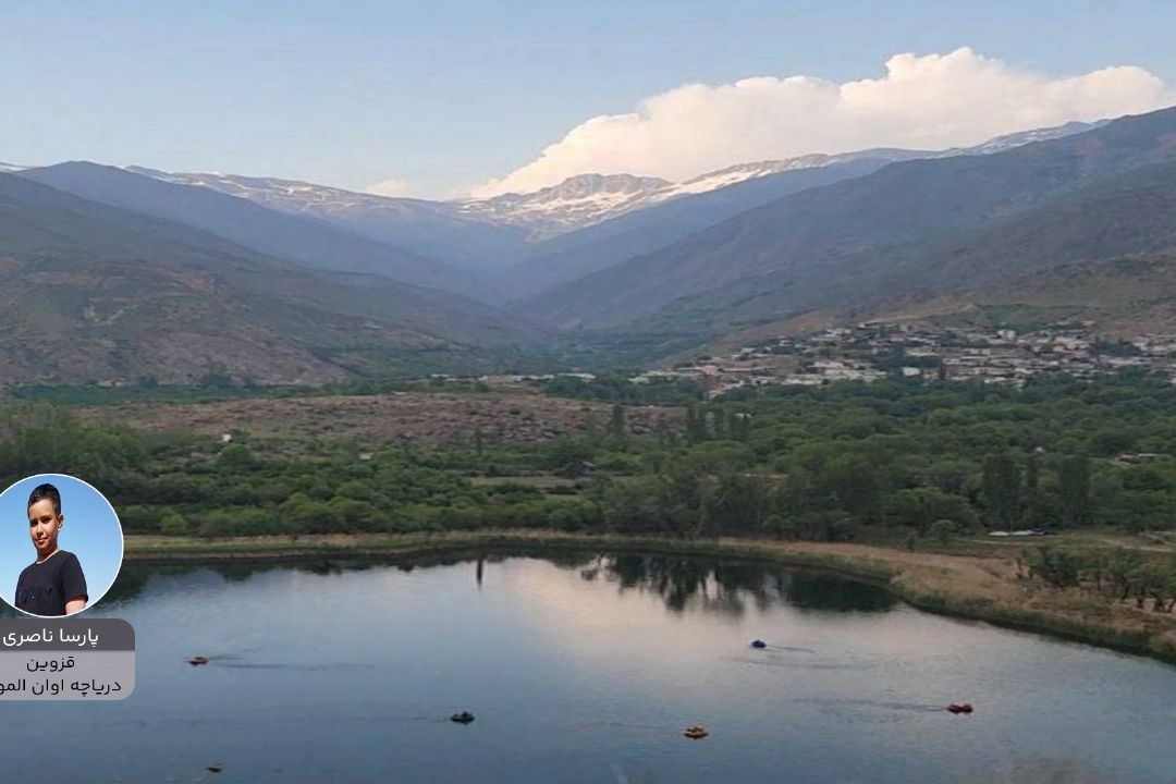 Image description