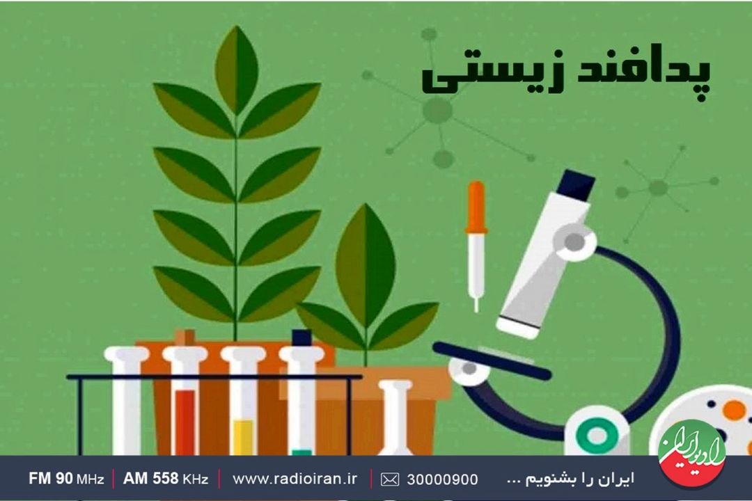 چشم انداز پدافند غیر عامل زیستی