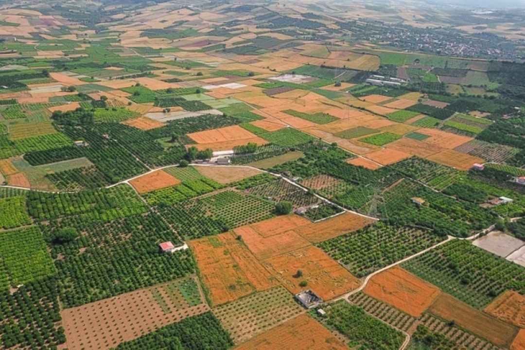 پرونده جدیدی در حوزه زمین‌خواری تشكیل نشده است