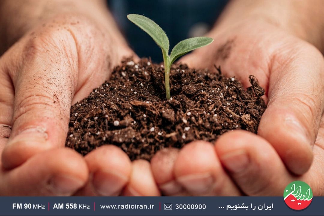 حس مفید بودن را در زندگی زنده سازیم