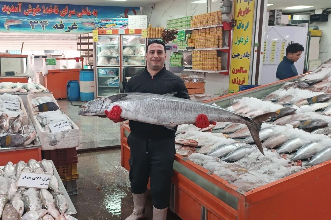 عرضه انواع ماهی زنده شمال و جنوب در میدان تره بار شهید بروجردی