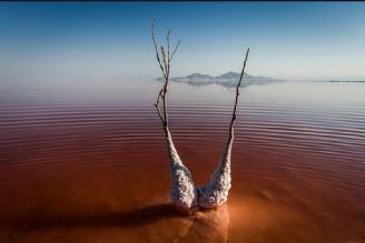 دریاچه ارومیه با بودجه اندك احیا نمی شود