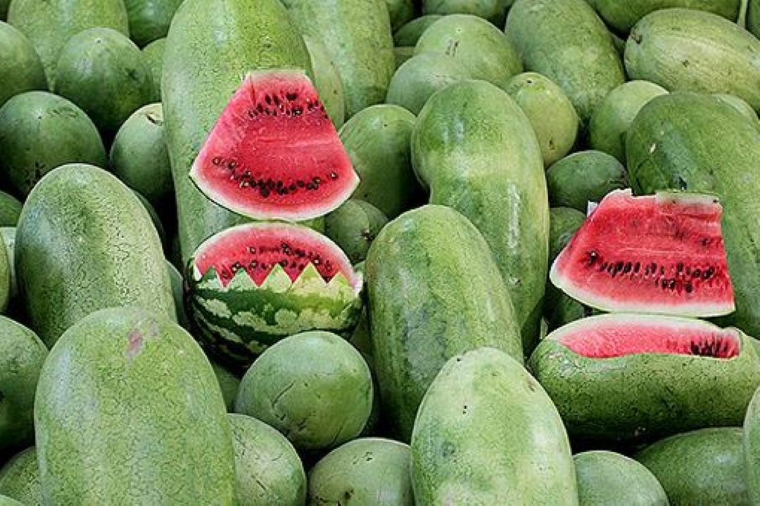 اخذ عوارض از محصولات كشاورزی پر آب بر صادراتی/ درآمد صرف احیای قنوات و افزایش بهره وری آب می شود