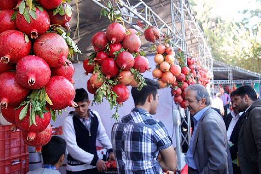 جشنواره انار ساوه به مدت پنج روز در مسجد جامع شهر برپاست 