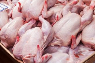 درخواست مرغداران برای افزایش قیمت مرغ 