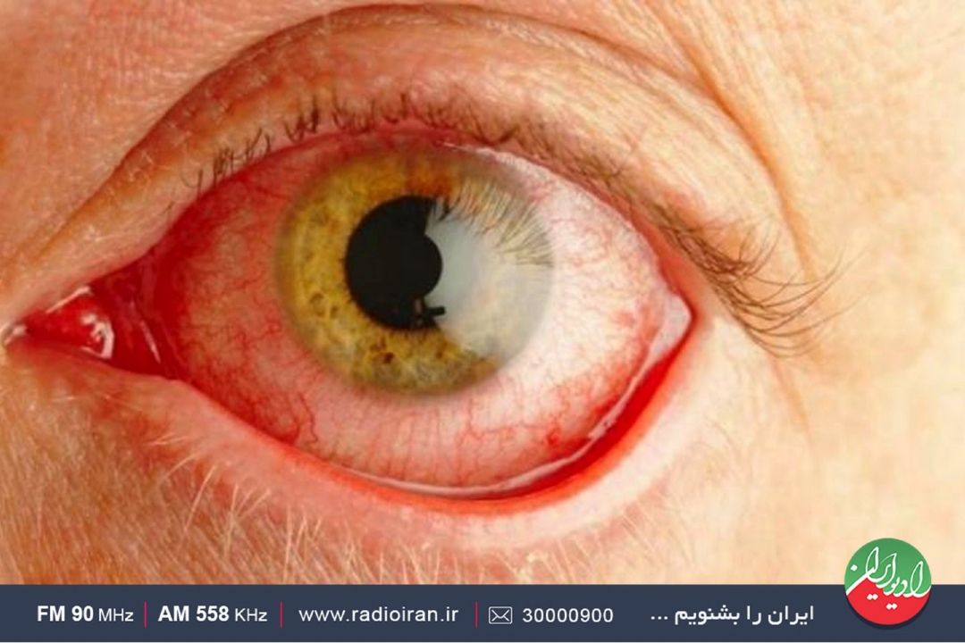طنین «صدای زندگی» در خانواده مصطفوی طهرانی 