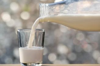 مصرف شیر جلوی جذب ذرات آلاینده معلق را می‌گیرد