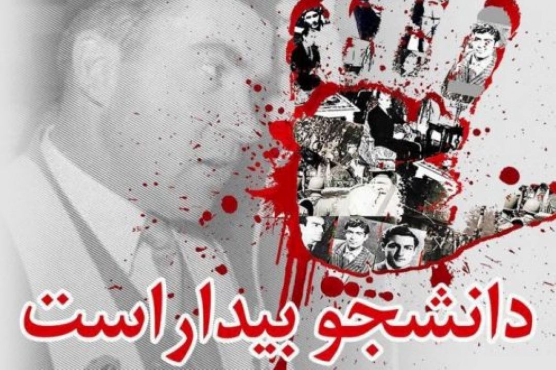 دانشجو ، تاریخ، سیاست