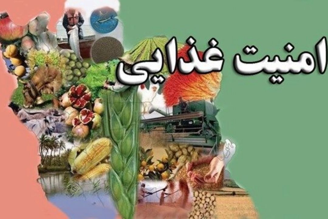 رونمایی از سند دانش‌بنیان فرهنگی امنیت غذایی 