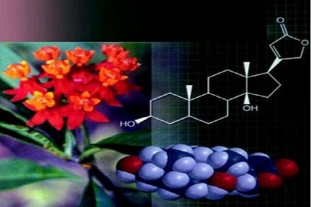  تدوین نقشه راه ملی دوقلوی دیجیتال زیستی و محیط زیستی 