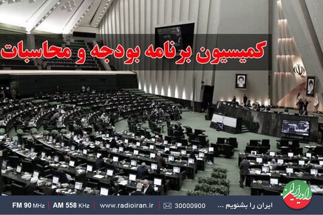 كاركرد كمیسیون برنامه و بودجه مجلس شورای اسلامی