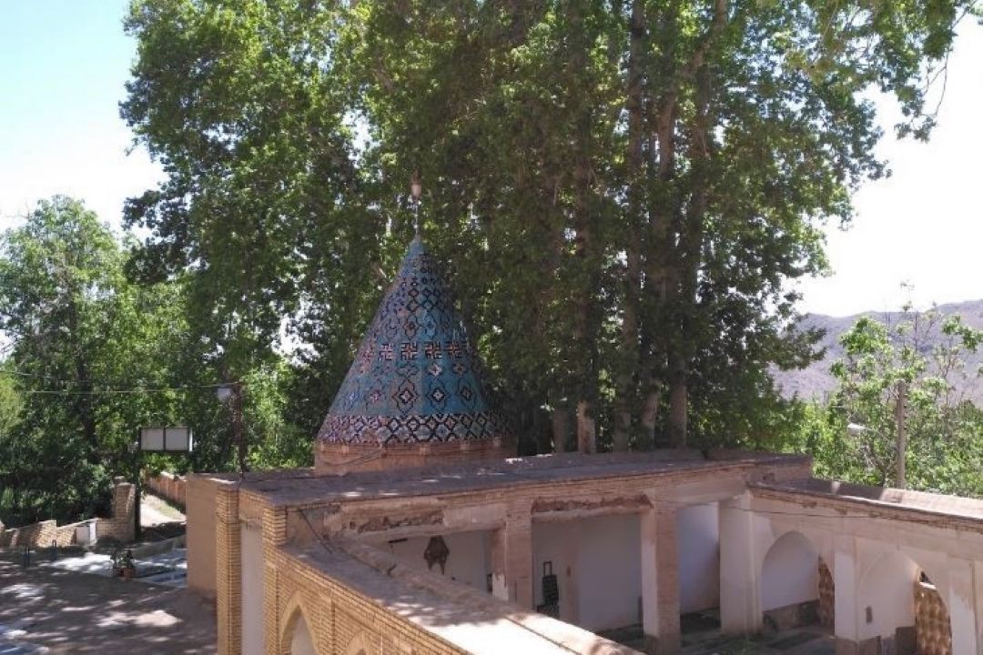  روستای طامه