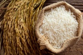 ممنوعیت واردات برنج پیامدی جز گرانی و قاچاق نخواهد داشت +صوت