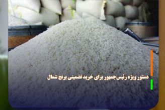 دستور ویژه رئیس‌جمهور برای خرید تضمینی برنج شمال­ 