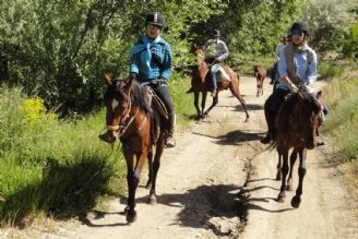 گردشگری با اسب؛ رشته‌ای برای عموم جامعه
