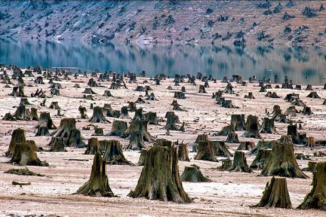كشور به لحاظ مولفه های محیط زیستی دچار بحران است