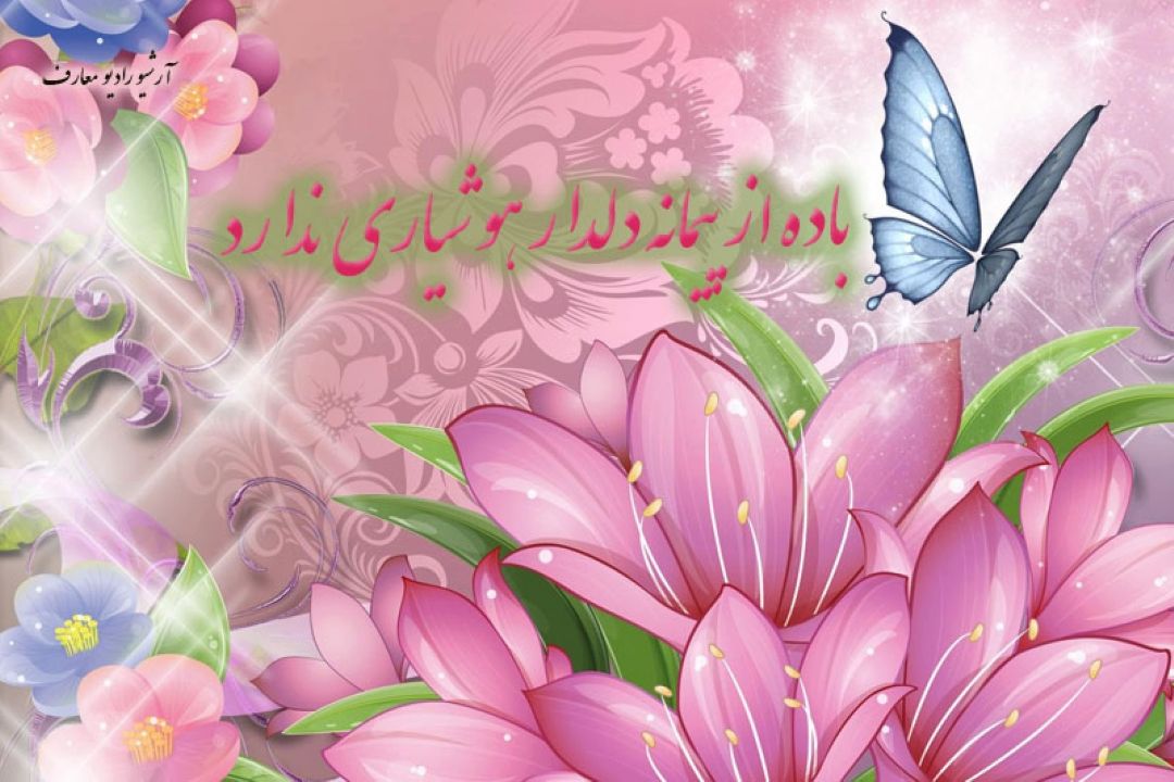 باده از پیمانه دلدار هوشیاری ندارد