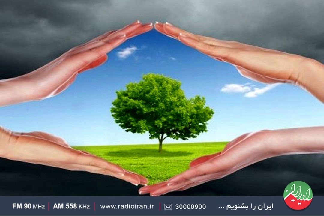 درختان بلوط و بادام مخصوص جنگل‌های هیركانی است