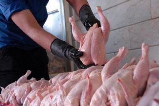 قیمت مرغ تا پایان ماه رمضان ثابت می‌ماند
