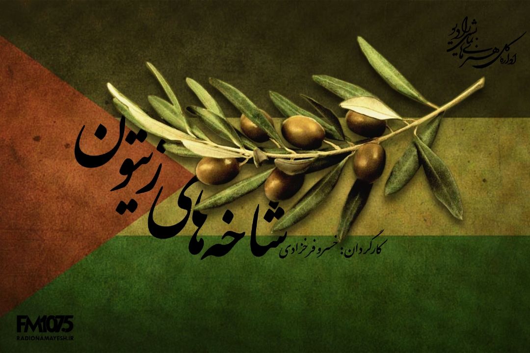 شاخه های زیتون