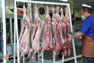 بازار گوشت قرمز به ثبات قیمتی می‌رسد؟ 