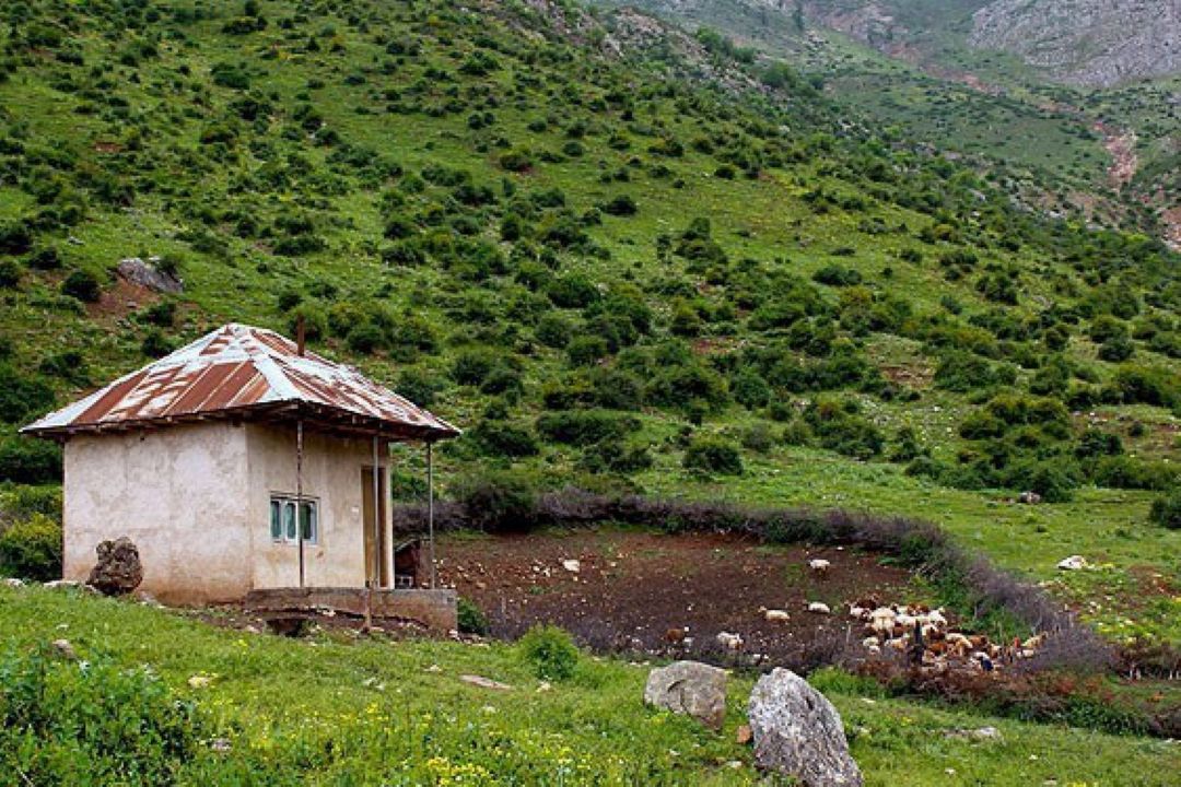 آوازهای بهاری از مازندارن به گوش می رسد