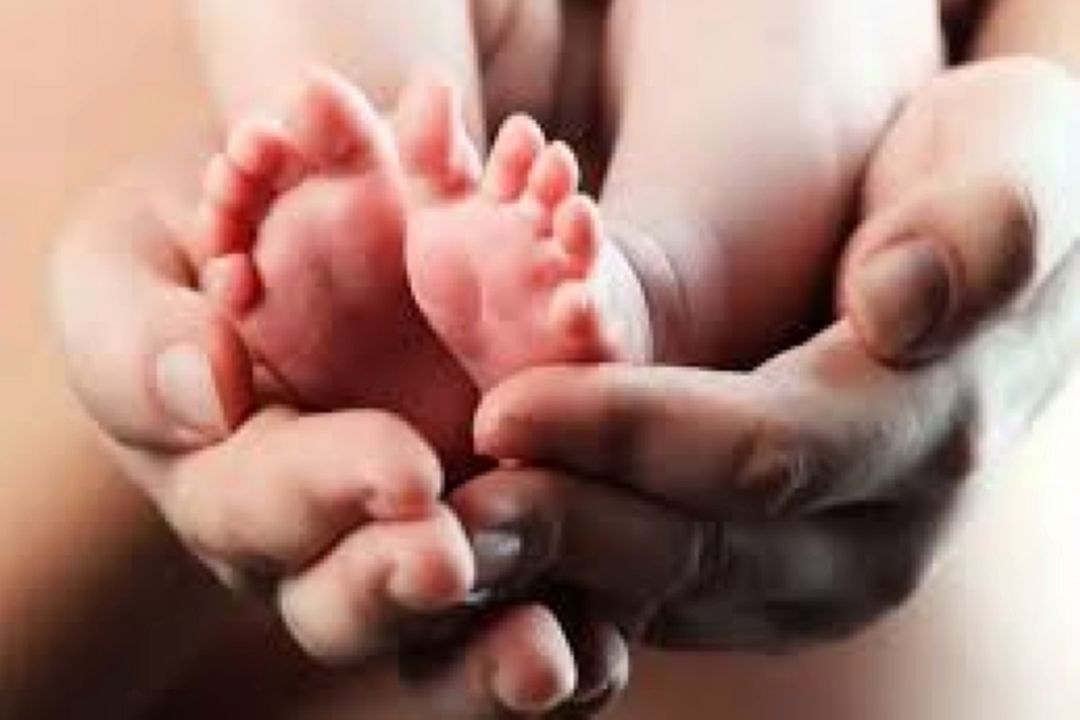 طرح‌های حمایتی از مادران در برنامه «چشم انداز»