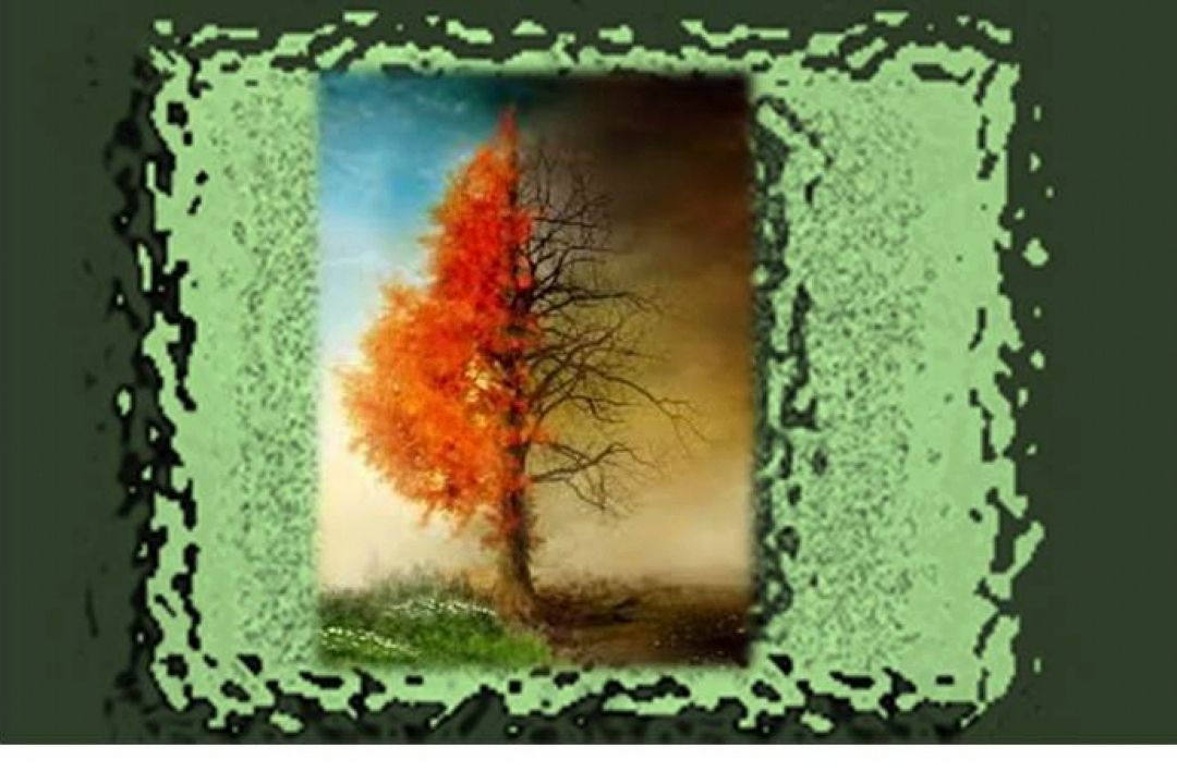 عرفان متعالی راهبر زندگی 