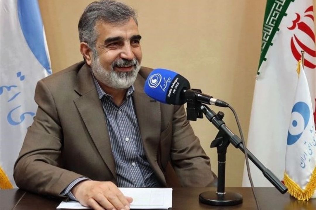 كمالوندی: دنبال ساخت سلاح هسته‌ای نیستیم