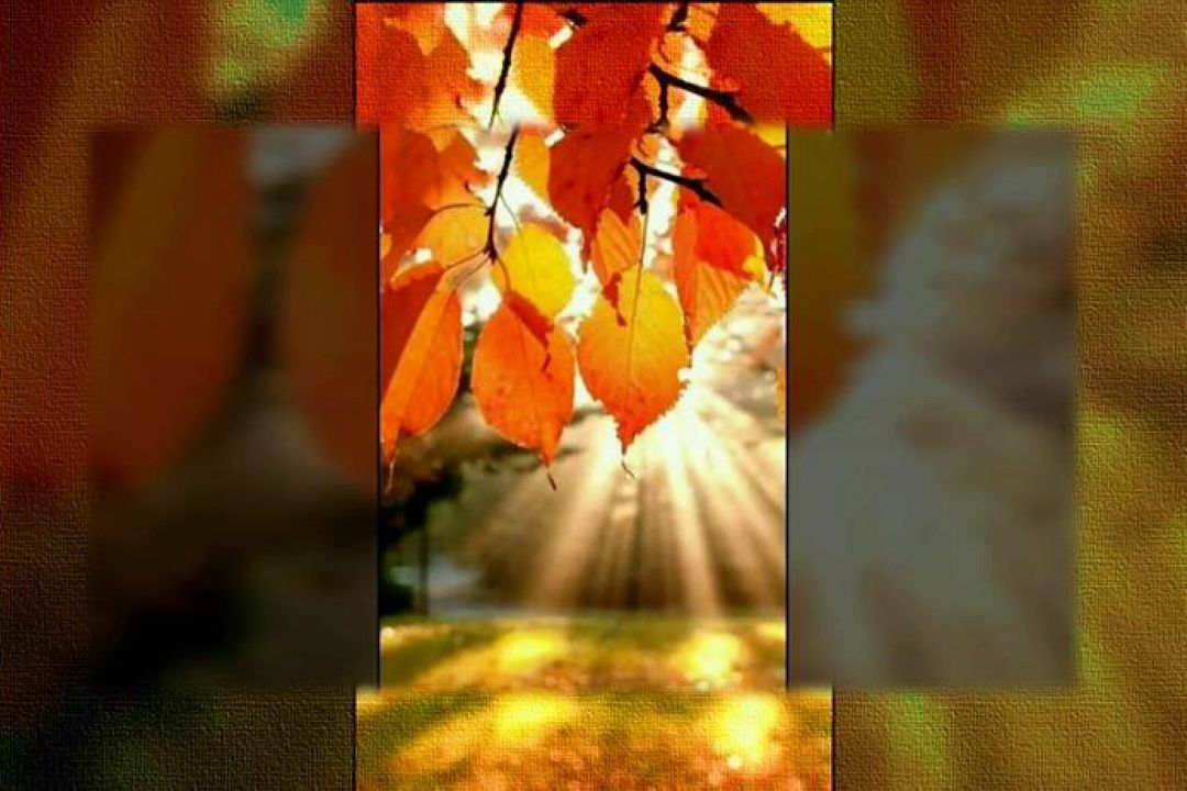 صبح است ساقیا . . .