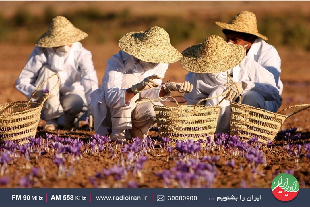 با رایزنان جمهوری اسلامی ایران ارتباطات خوبی داریم 