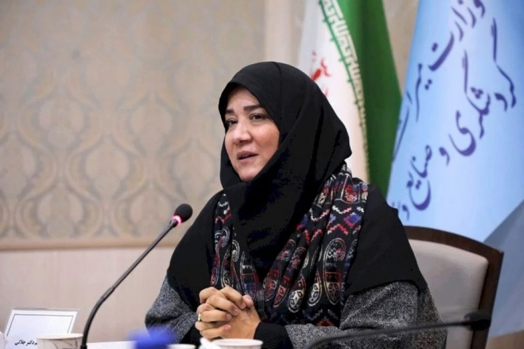 زمان‌بر بودن غبارروبی از غفلت تاریخی نسبت به صنایع دستی 