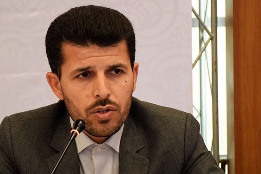 كاهش بار مالی دولت در گروطرح قیمت تضمینی +صوت