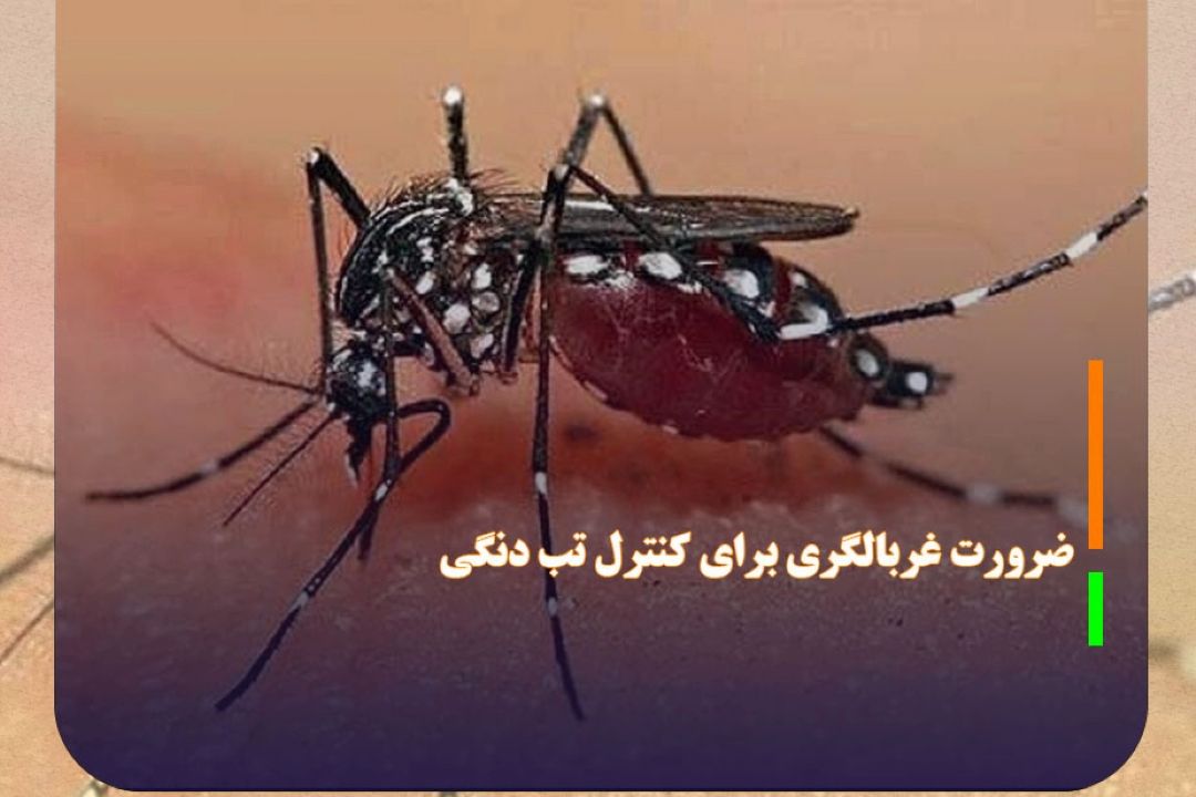 ضرورت غربالگری برای كنترل تب دنگی
