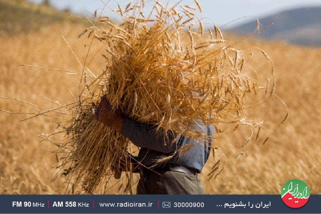 روایت شعر و زندگی در «فرهنگ مردم»