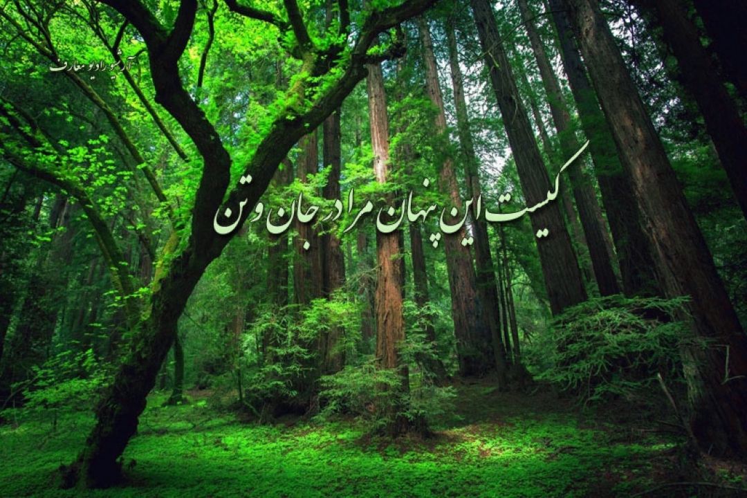 كیست این پنهان مرا در جان و تن