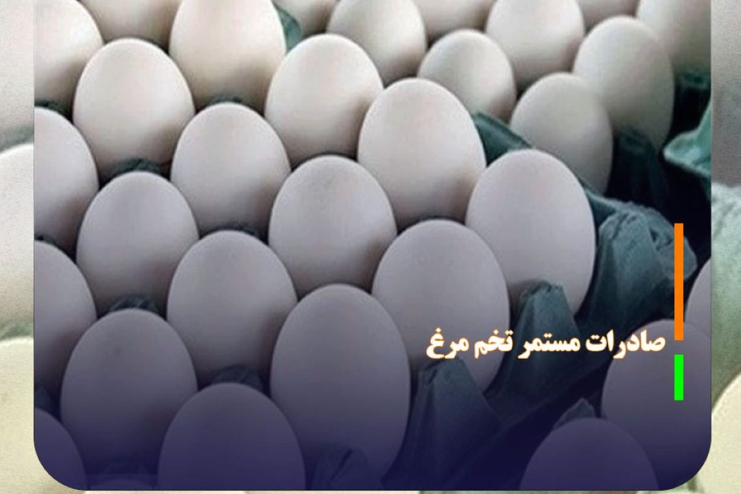 صادرات مستمر تخم مرغ همزمان با تنظیم بازار داخل