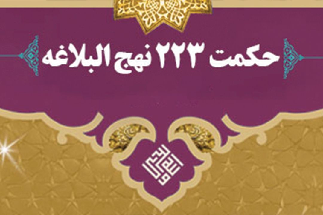 دلیل فریب خوردگی در خطبه 223 نهج البلاغه