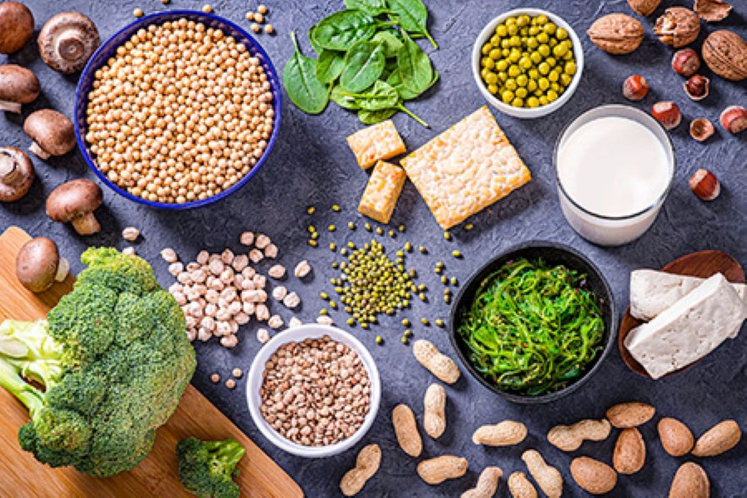 پروتئین گیاهی و پروتئین حیوانی