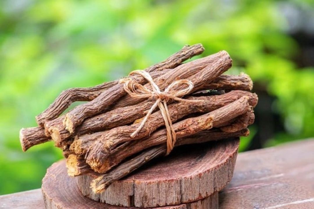 دوراهی به دنبال گیاهان دارویی 