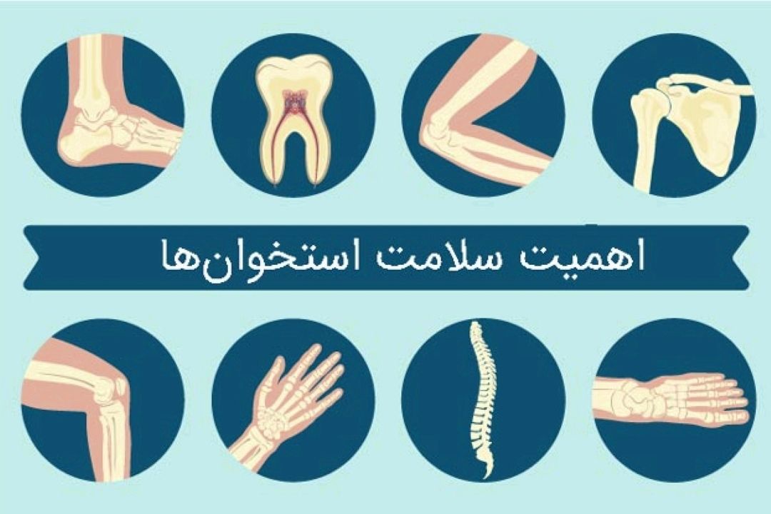  حفظ سلامت استخوان‌ ها