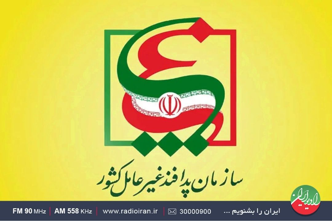 مدیر روابط عمومی و معاونت فرهنگی سازمان پدافند غیر عامل روی خط «نمودار»