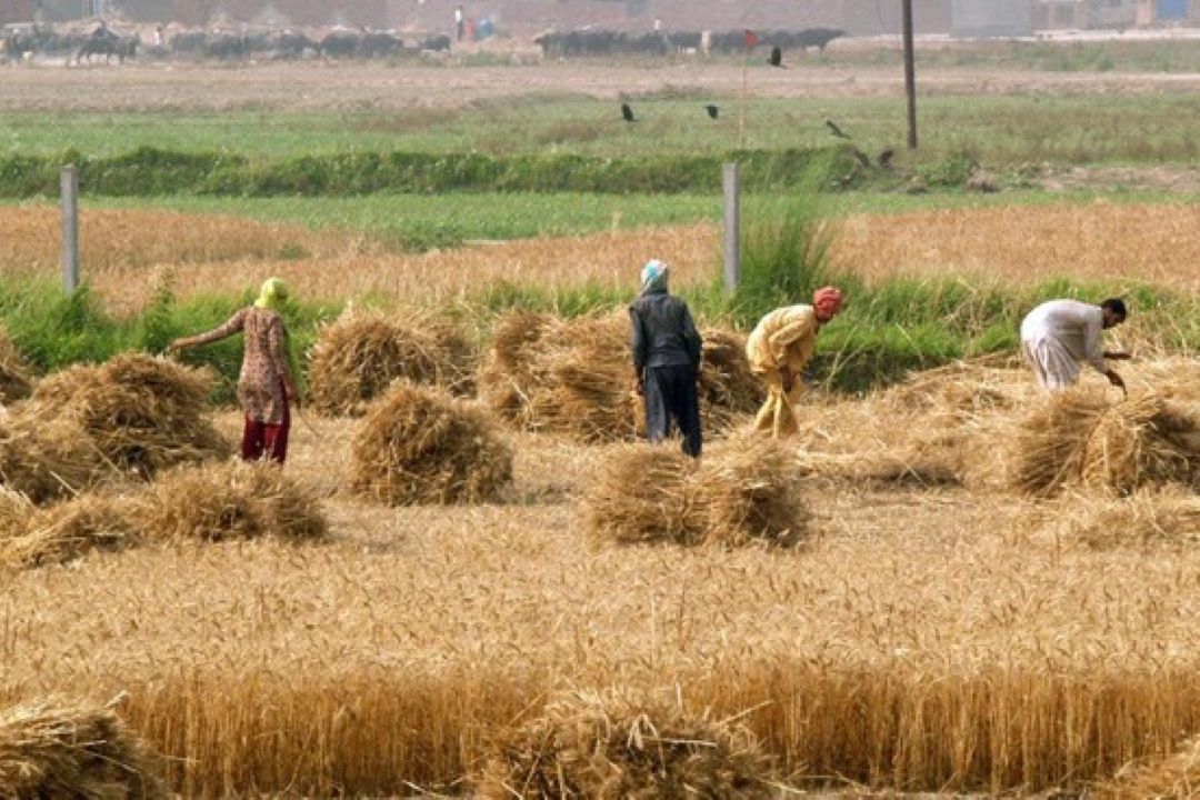 چالش‌ها و الزامات اقتصاد محلی و توسعه روستایی و عشایر