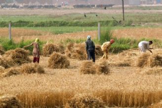 چالش‌ها و الزامات اقتصاد محلی و توسعه روستایی و عشایر